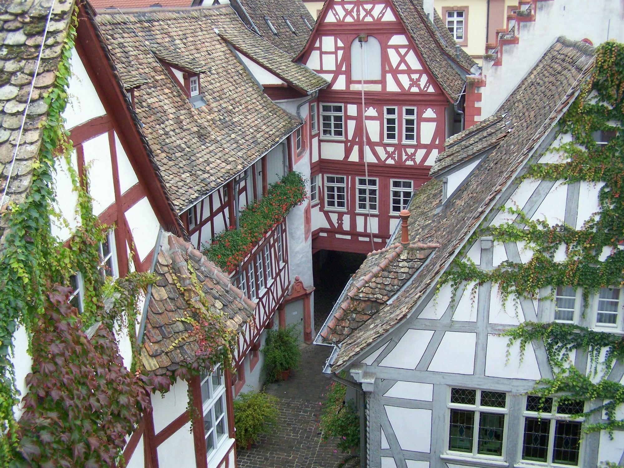 Steinhaeuser Hof Neustadt an der Weinstraße Eksteriør bilde